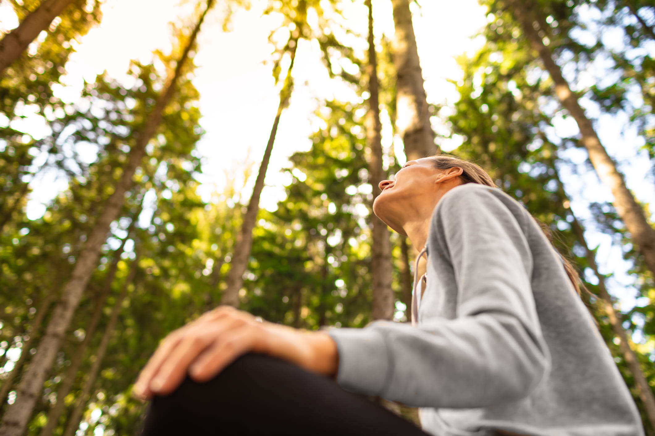 Certificate in Healing Environments for Body, Mind, and Spirit